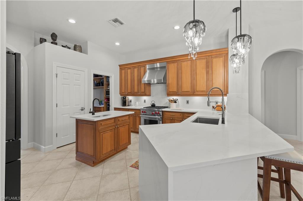 22043 Sycamore Grove Estero, FL 34135 - Photo 12 of 44 a kitchen with sink cabinets and window