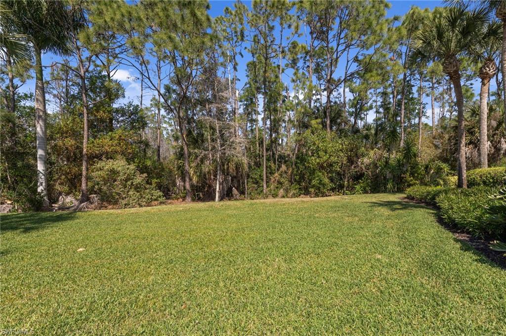 22043 Sycamore Grove Estero, FL 34135 - Photo 39 of 44 a view of a field with trees in the background