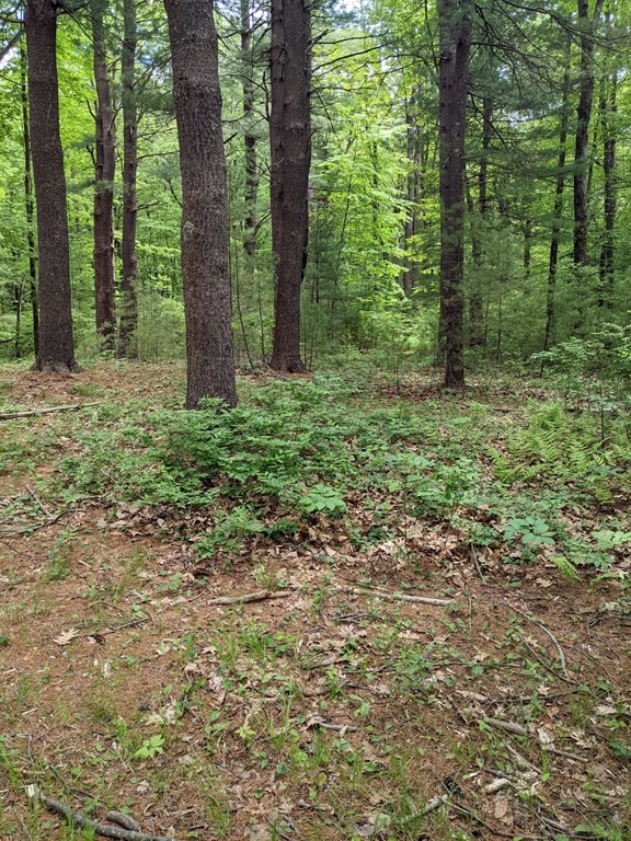 1 Chapin Road Holden, MA 01520 - Photo 4 of 6