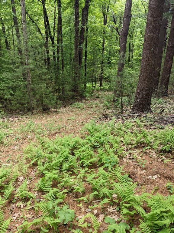 1 Chapin Road Holden, MA 01520 - Photo 6 of 6