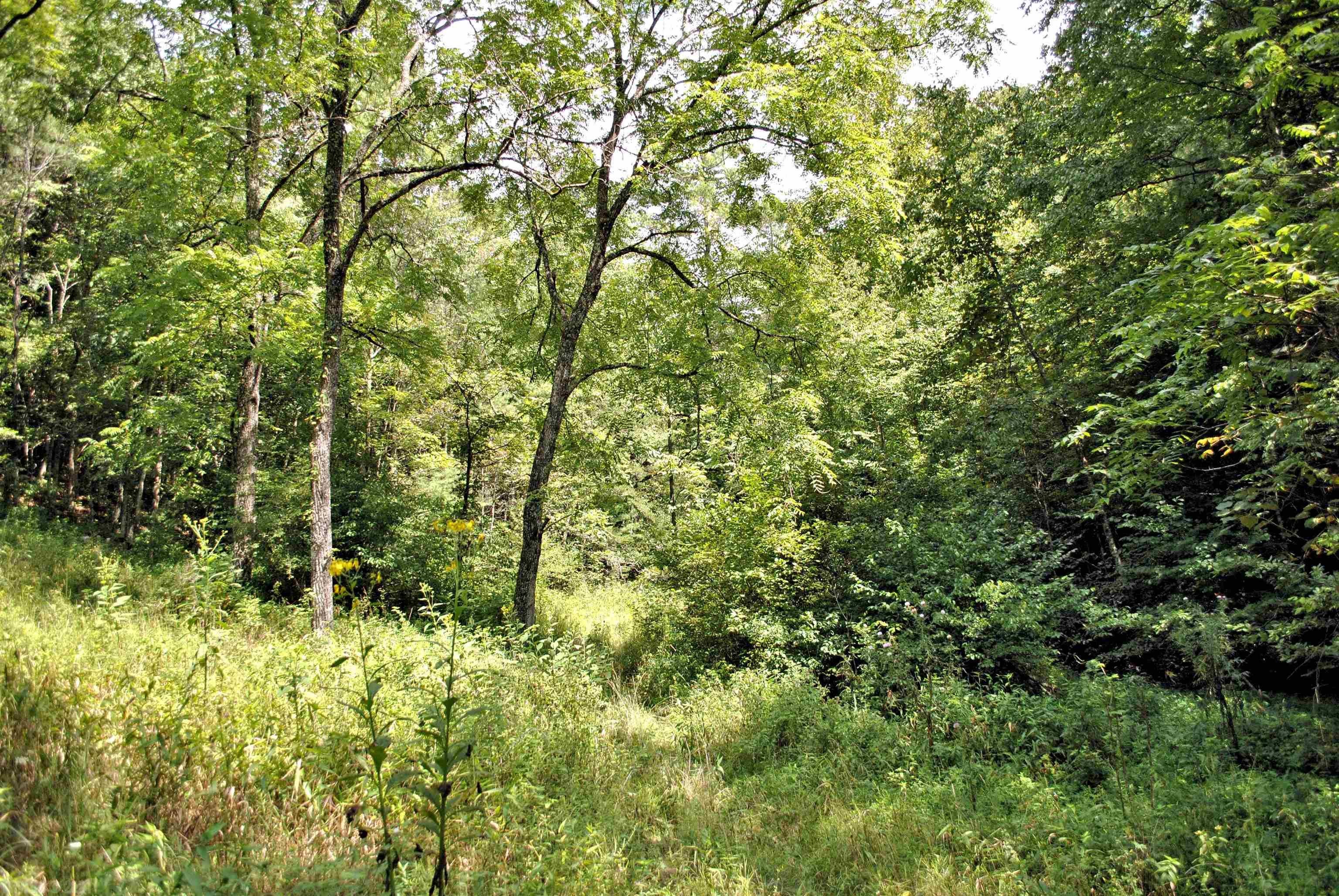 Tbd 153.054-ac Tbd 153.054-ac Chestnut Ridge Road Riner, VA 24149 - Photo 27 of 31 Gallery Image 27