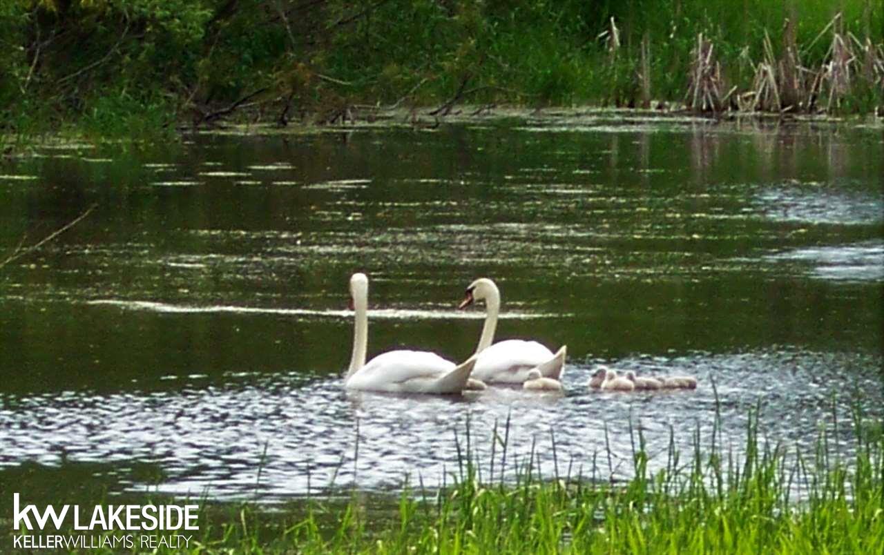 70727 Fisher Road Romeo, MI 48065 - Photo 4 of 32 Beautiful Pond!
