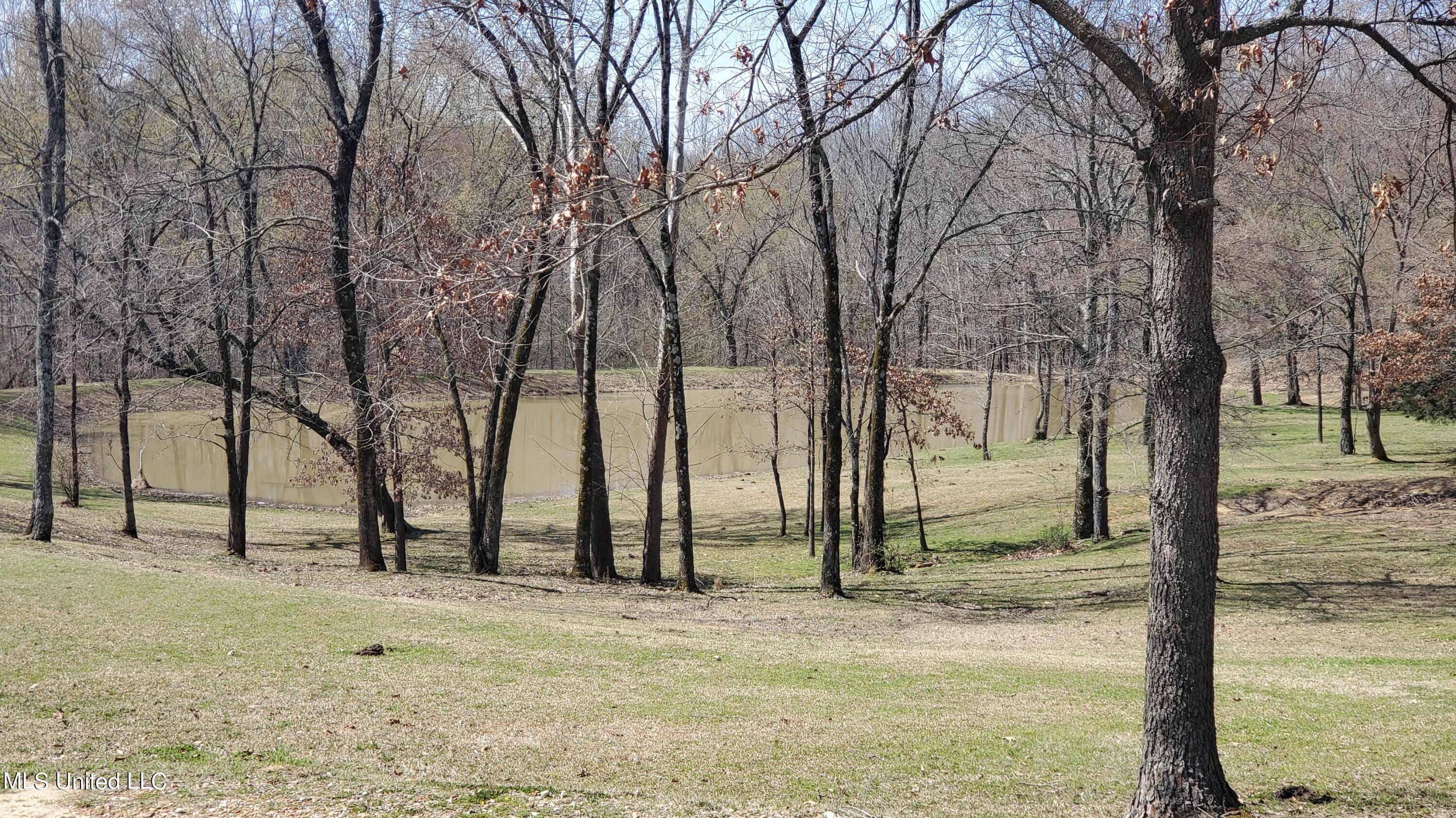 881 North Crockett Road Senatobia, MS 38668 - Photo 40 of 44 43