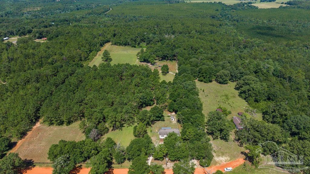 6885 Dora Lee Killam Road Century, FL 32535 - Photo 1 of 47 Gallery Image 1