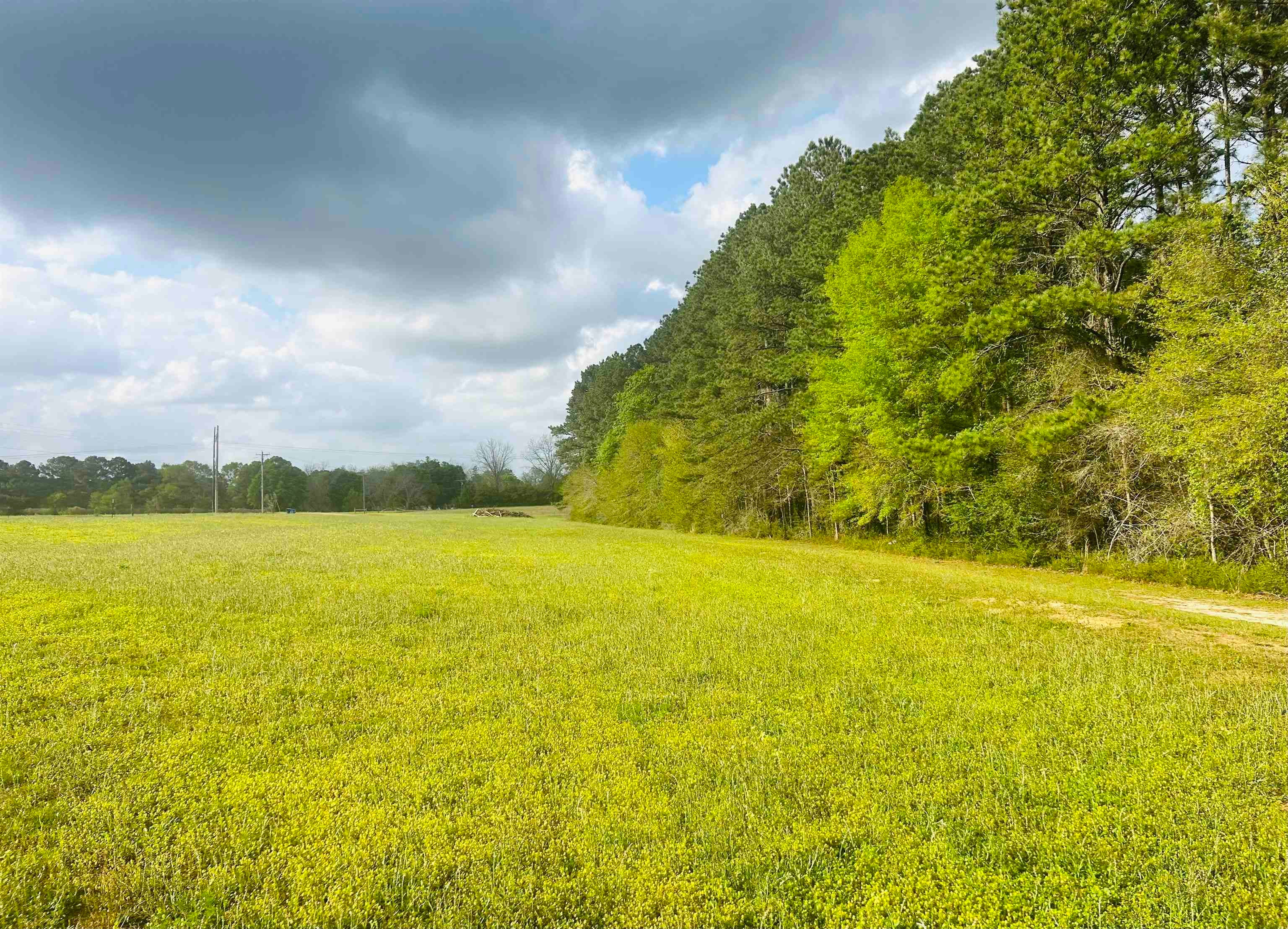 101 County Road Andalusia, AL 36420 - Photo 7 of 8 Gallery Image 7