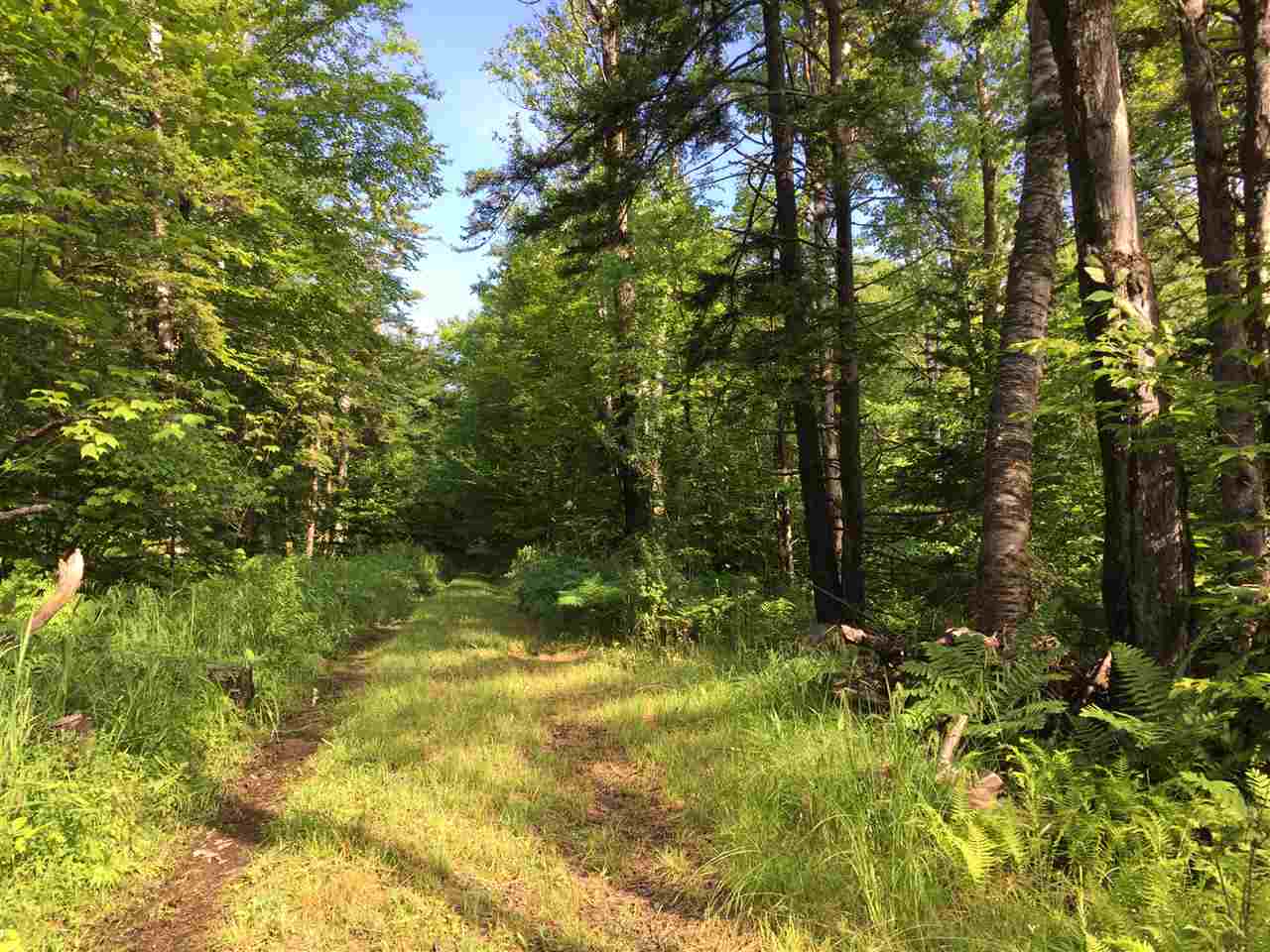 Hampshire Hill Road Worcester, VT 05682 - Photo 1 of 11