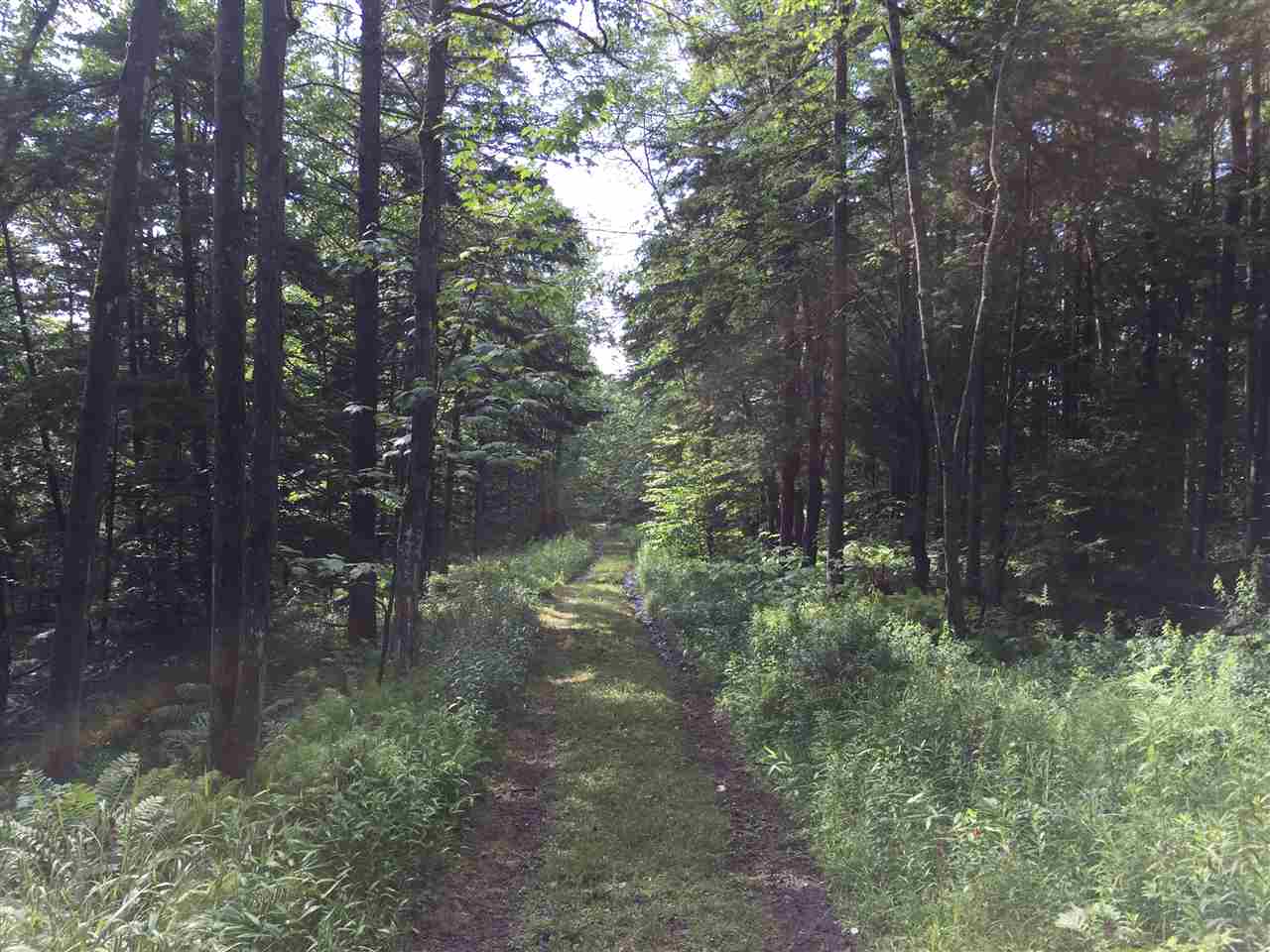 Hampshire Hill Road Worcester, VT 05682 - Photo 2 of 11