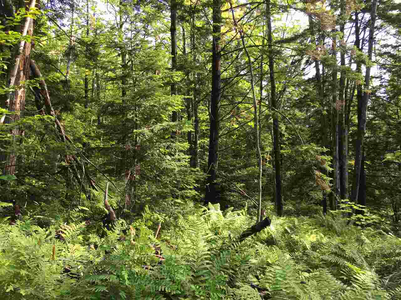 Hampshire Hill Road Worcester, VT 05682 - Photo 3 of 11