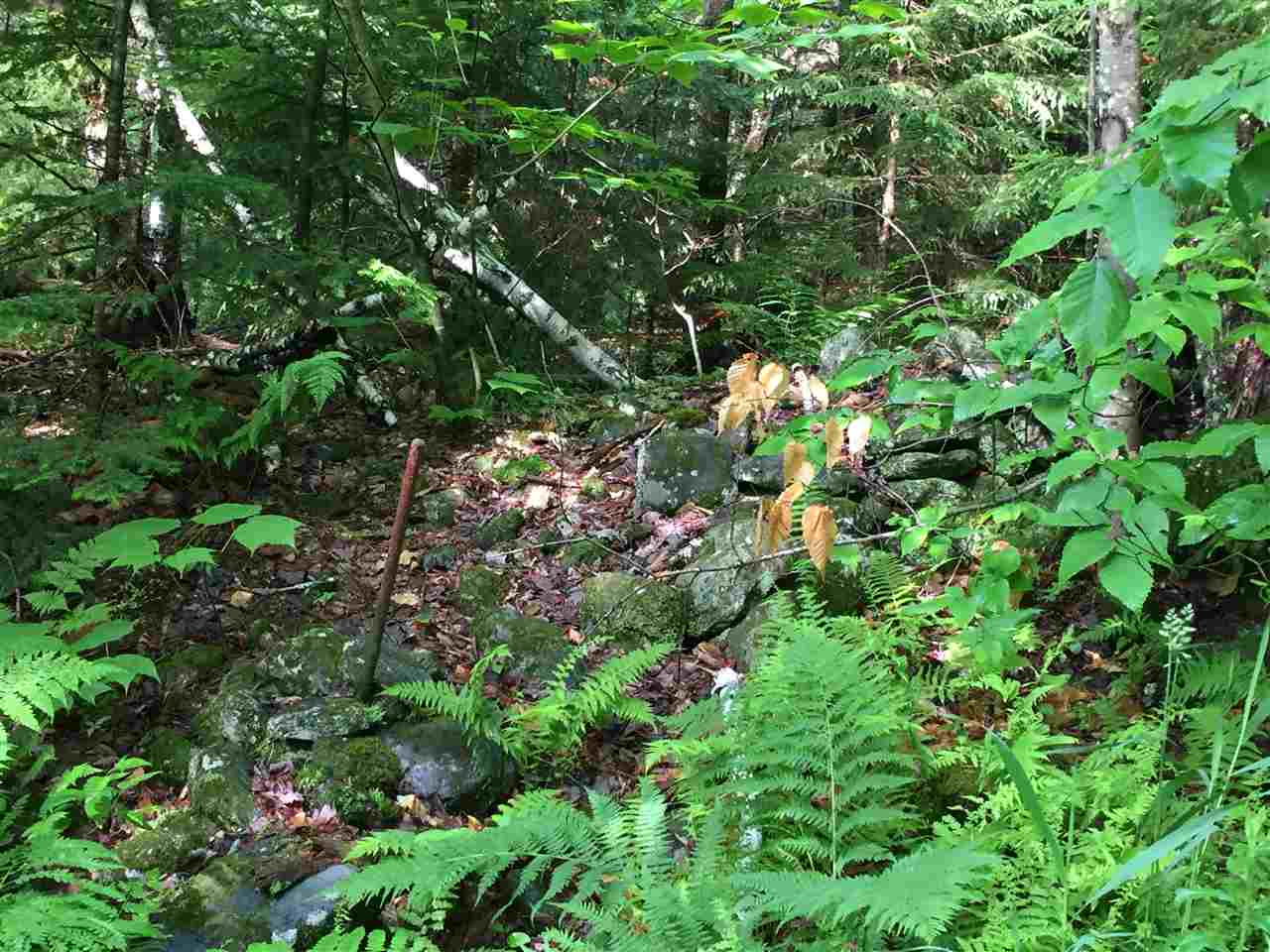 Hampshire Hill Road Worcester, VT 05682 - Photo 4 of 11