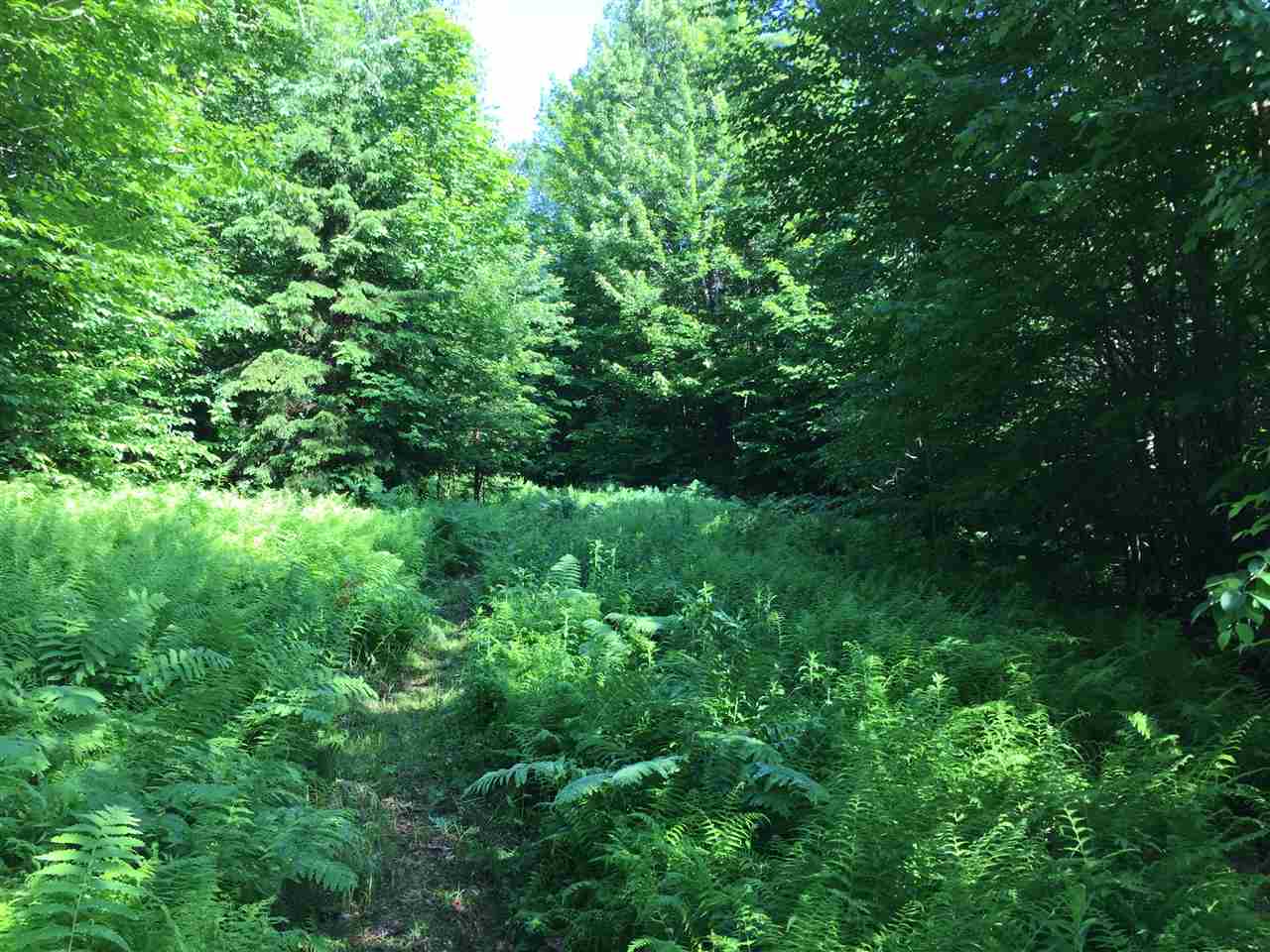 Hampshire Hill Road Worcester, VT 05682 - Photo 5 of 11