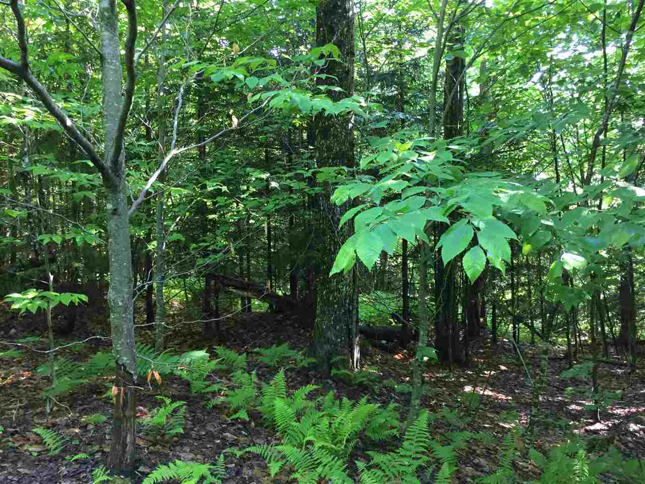 Hampshire Hill Road Worcester, VT 05682 - Photo 6 of 11