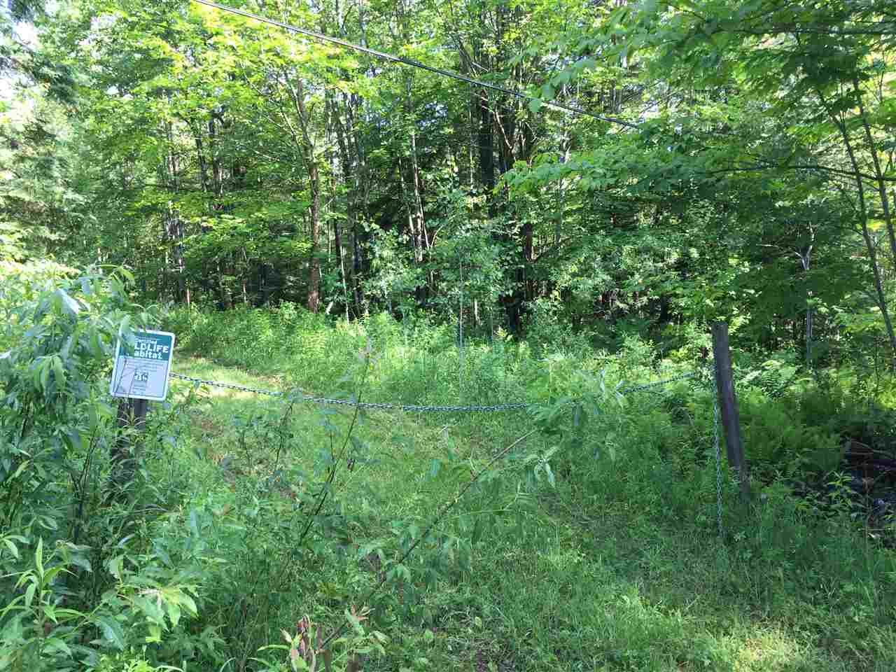 Hampshire Hill Road Worcester, VT 05682 - Photo 10 of 11