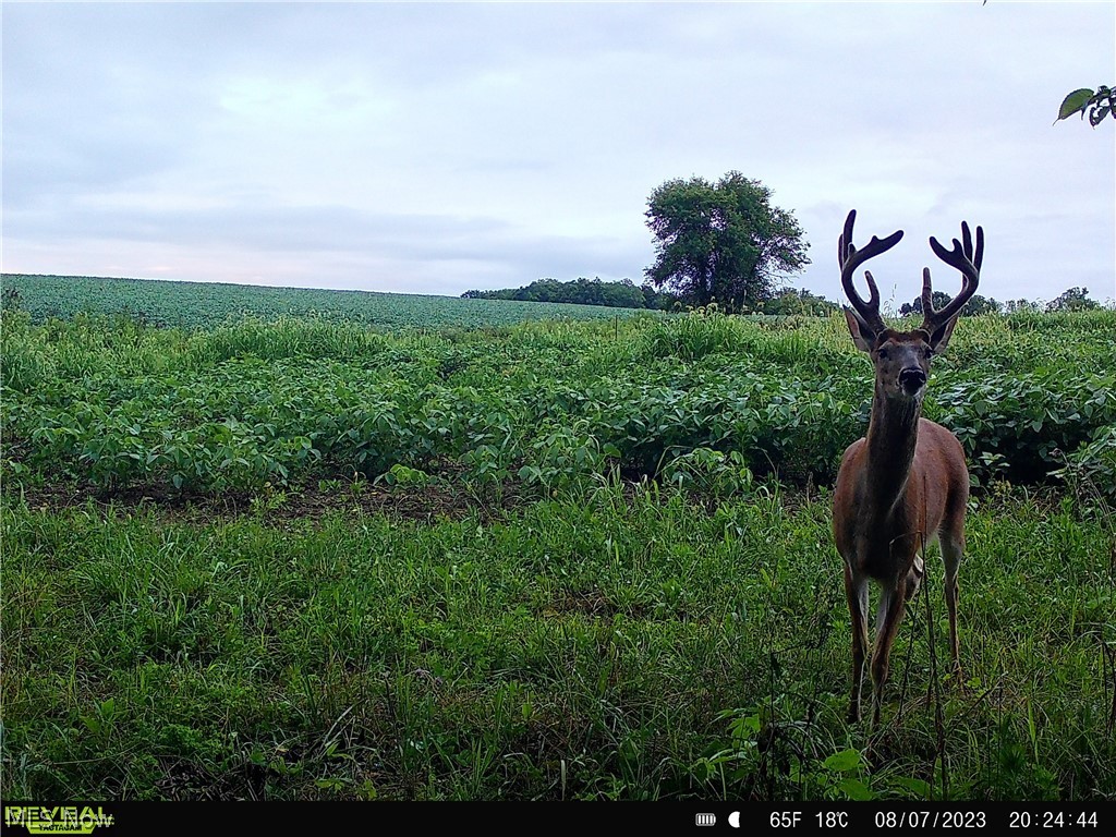 80960 Burkhart Road Tippecanoe, OH 44699 - Photo 13 of 50