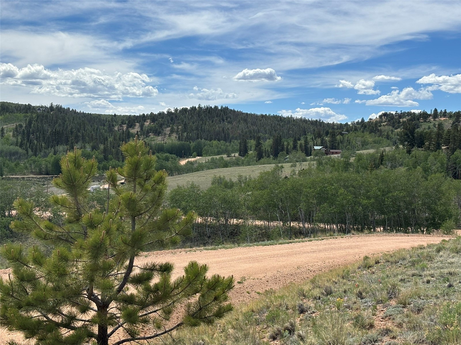 135 Hawk Way Como, CO 80432 - Photo 20 of 22 a view of a yard