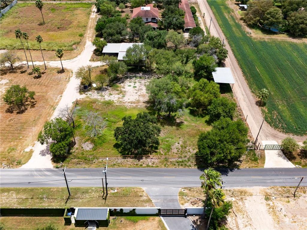 307 Northgate Lane McAllen, TX 78504 - Photo 7 of 10 a view of a garden
