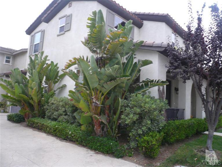541 Spring Park Road Camarillo, CA 93012 - Photo 25 of 29 Additional Photo