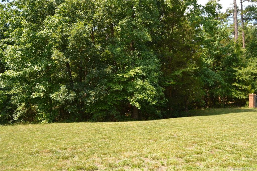 10936 Hellebore Road Charlotte, NC 28213 - Photo 23 of 24 Gallery Image 23