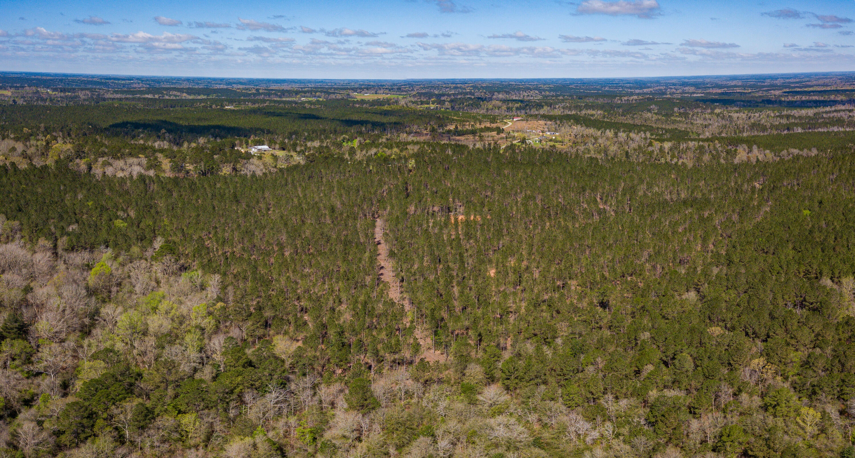 Lot 6 Timothy Road Ellisville, MS 39437 - Photo 12 of 26 Gallery Image 12