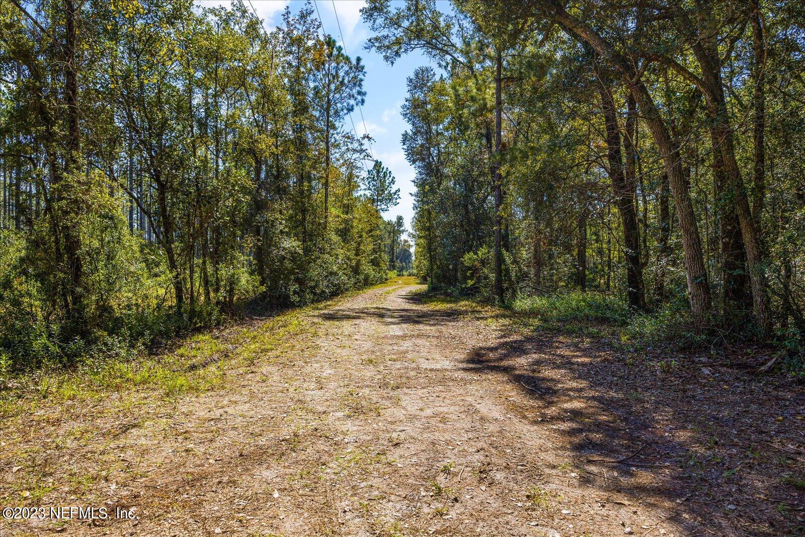 1164 Cortez Road Bryceville, FL 32009 - Photo 35 of 43 39-063A5667