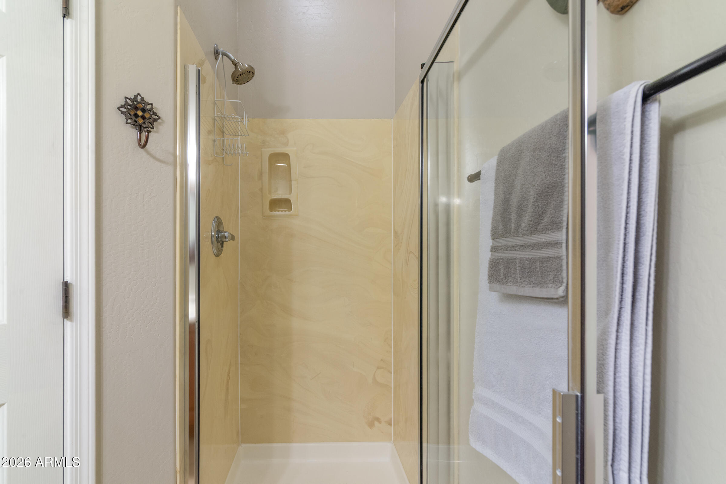 10204 East Dinosaur Ridge Road Gold Canyon, AZ 85118 - Photo 39 of 56 Downstairs shower