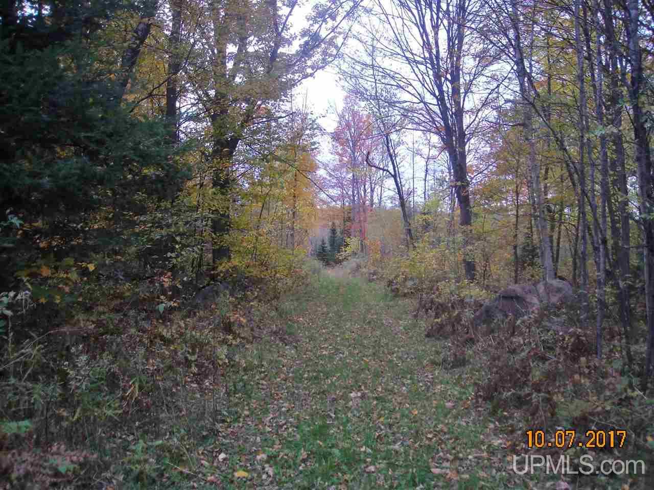 T-wi Ben Nichols Road Fence, WI 54120 - Photo 2 of 5 Gallery Image 2
