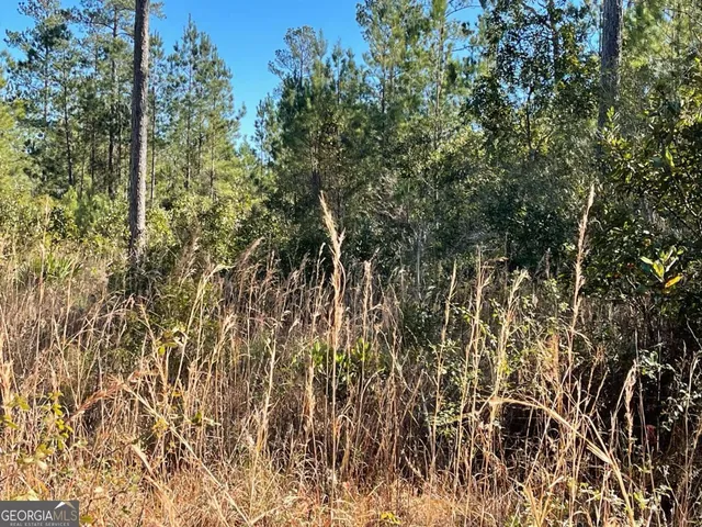 a view of a yard with a tree