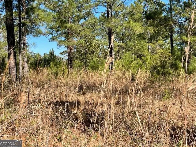 a view of a yard with a tree