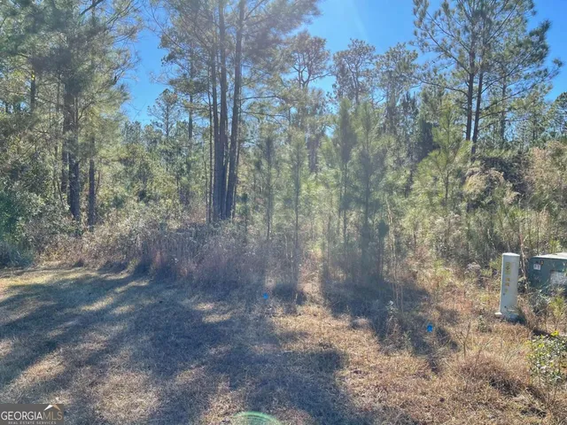 a view of a forest with trees