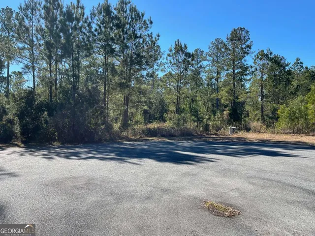 a view of a yard with large trees