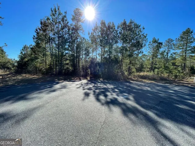 a view of a yard with a tree