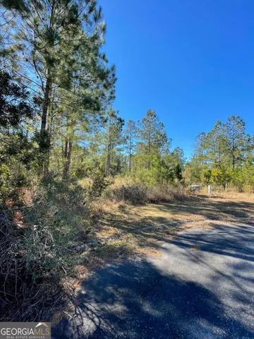 a view of a pathway with a tree in the background