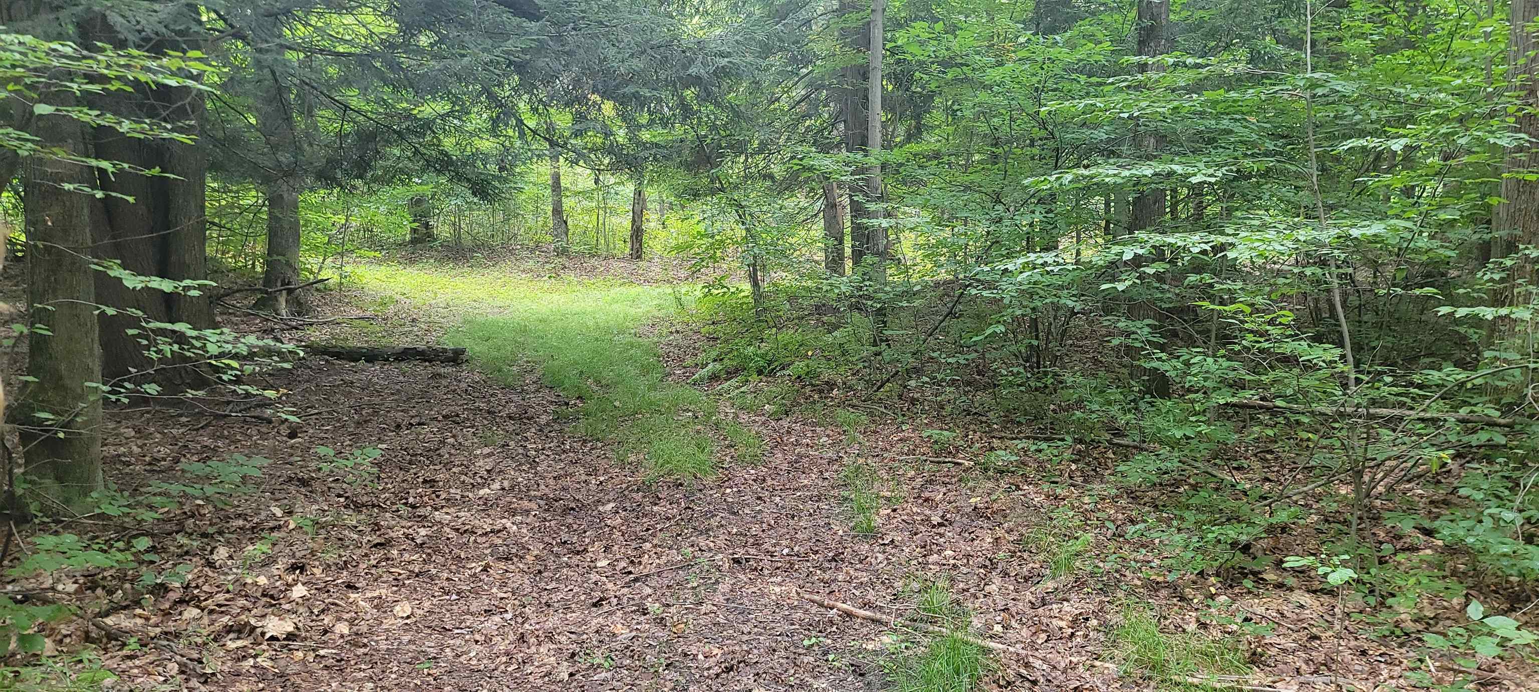 1708 Orr Road Caro, MI 48723 - Photo 18 of 37 Gallery Image 18