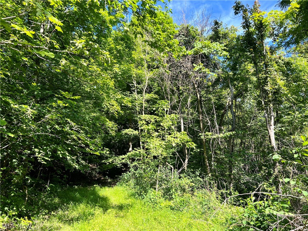 Butterbean Ridge Road Philo, OH 43771 - Photo 3 of 18