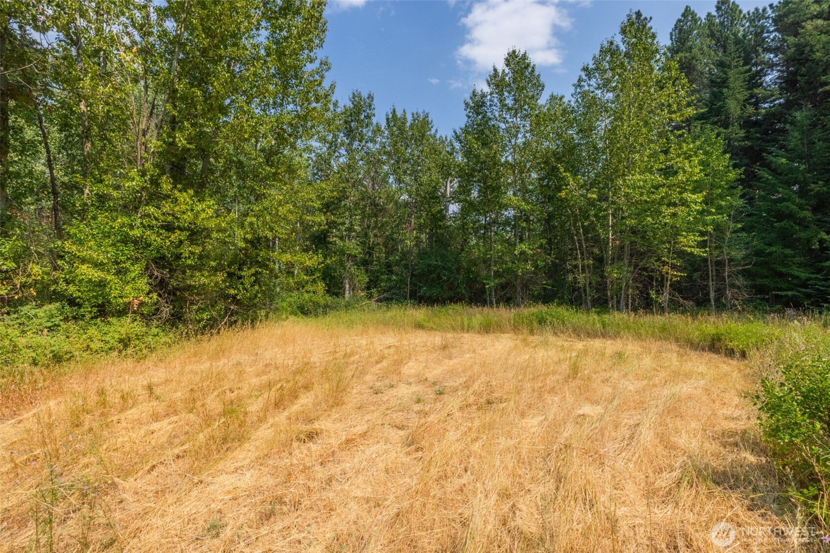 103 Horvatt Road Roslyn, WA 98941 - Photo 18 of 23 Gallery Image 18