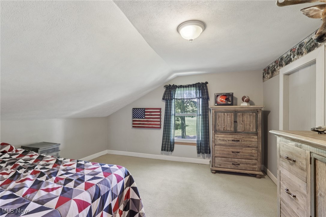 6414 Tennant Road Collins, OH 44826 - Photo 30 of 50 Bedroom with light carpet, a textured ceiling, and vaulted ceiling