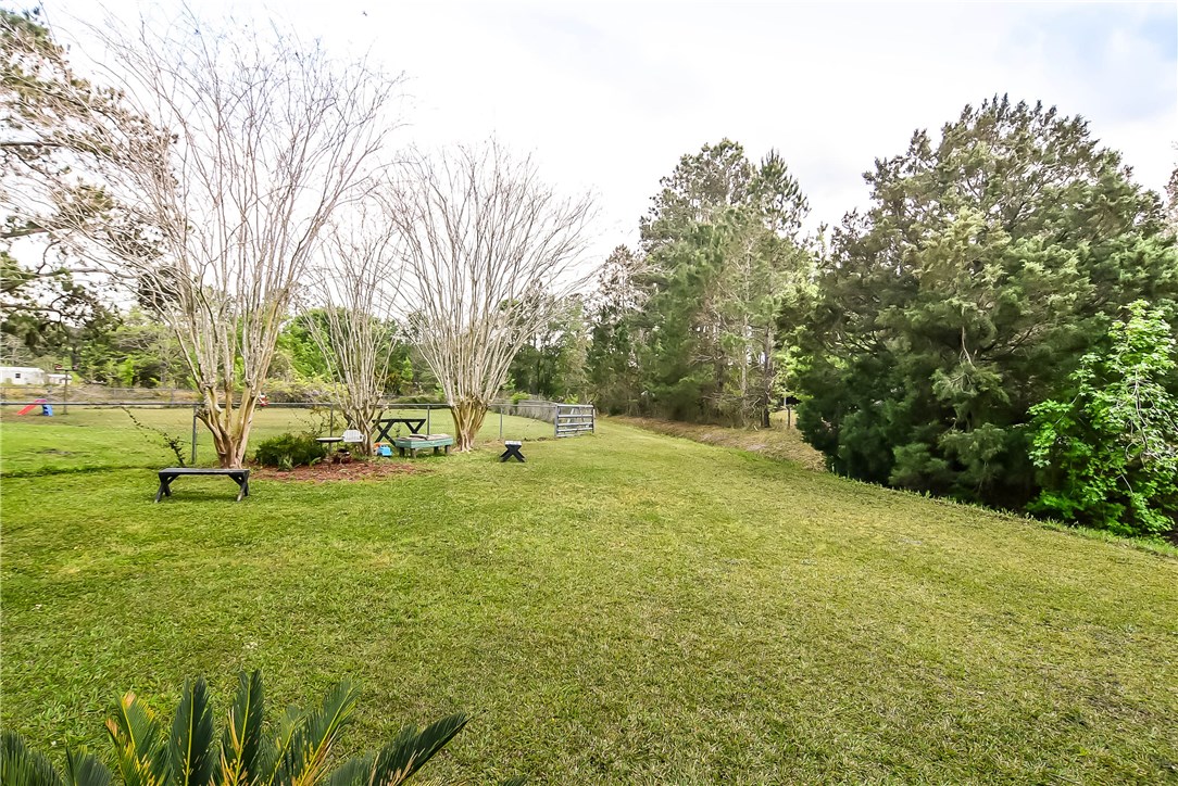 54014 Vikki Road Callahan, FL 32011 - Photo 29 of 29 a view of a field with of trees