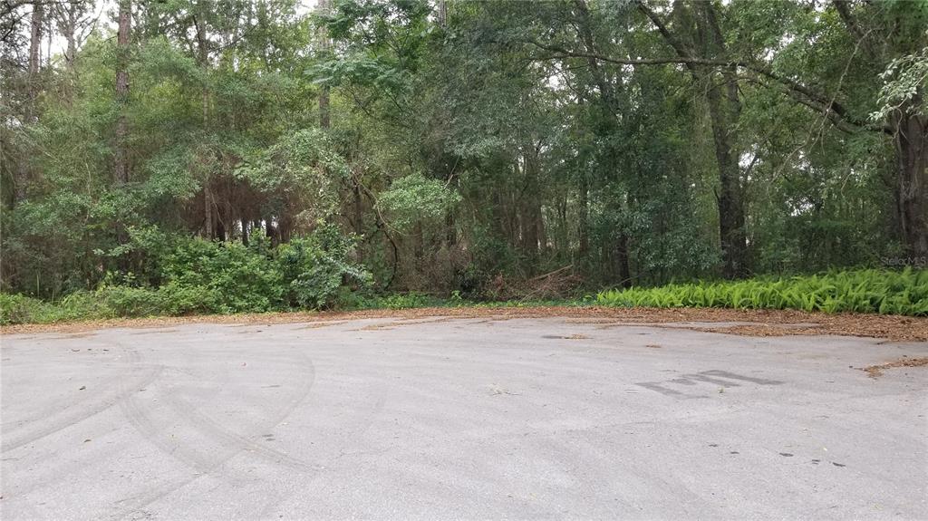 0 Cedar Tree Trace Ocala, FL 34472 - Photo 1 of 1 Privacy, nice price, not in a flood zone
