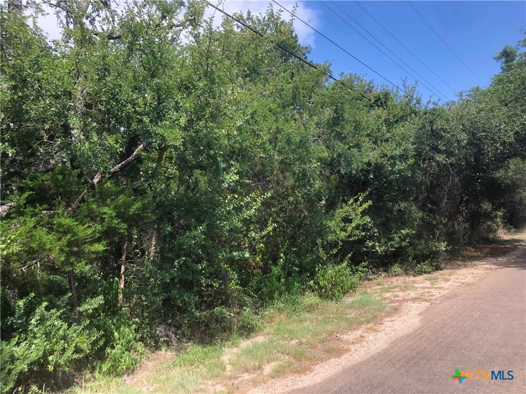 12308 Bonnie Lane Belton, TX 76513 - Photo 11 of 11 a view of a yard with plants and large trees