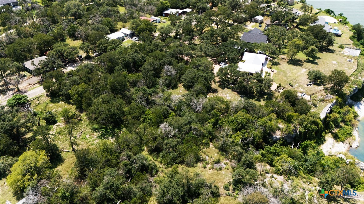 12308 Bonnie Lane Belton, TX 76513 - Photo 4 of 11 a view of a house with a tree