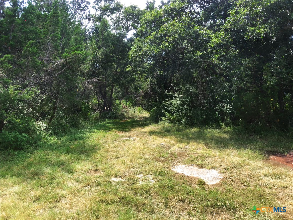 12308 Bonnie Lane Belton, TX 76513 - Photo 7 of 11 a view of outdoor space and a lake view