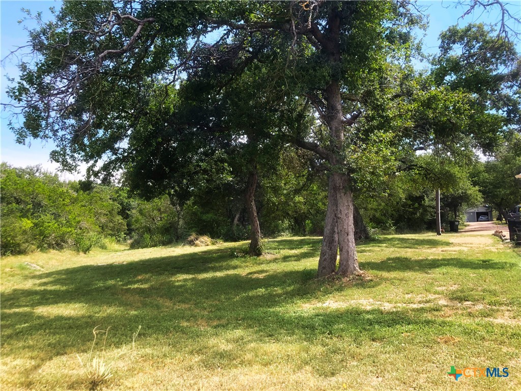 12308 Bonnie Lane Belton, TX 76513 - Photo 8 of 11 a view of a trees in a yard