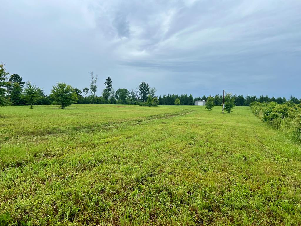 19 Beartown Road Jayess, MS 39641 - Photo 11 of 17 Photo 11