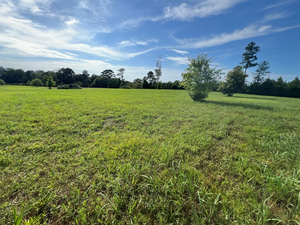 19 Beartown Road Jayess, MS 39641 - Photo 12 of 17 Photo 12