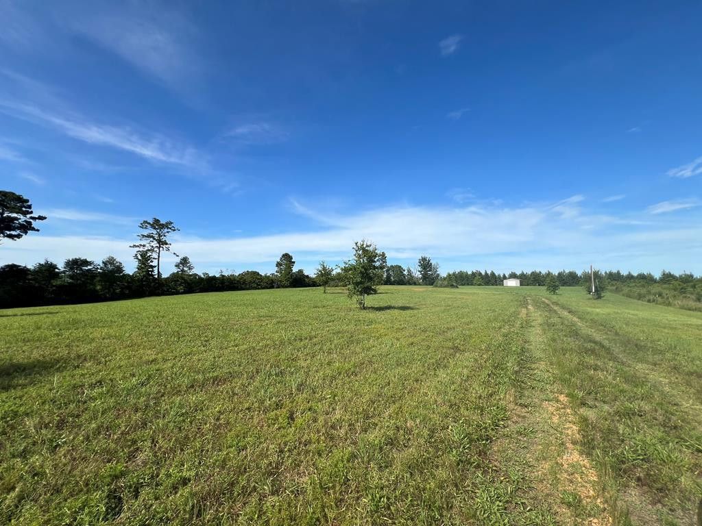 19 Beartown Road Jayess, MS 39641 - Photo 2 of 17 Photo 2
