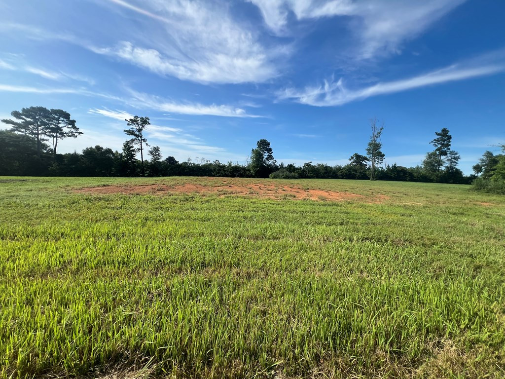 19 Beartown Road Jayess, MS 39641 - Photo 6 of 17 Photo 6