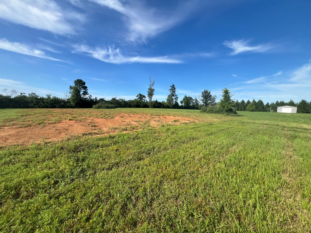 19 Beartown Road Jayess, MS 39641 - Photo 7 of 17 Photo 7