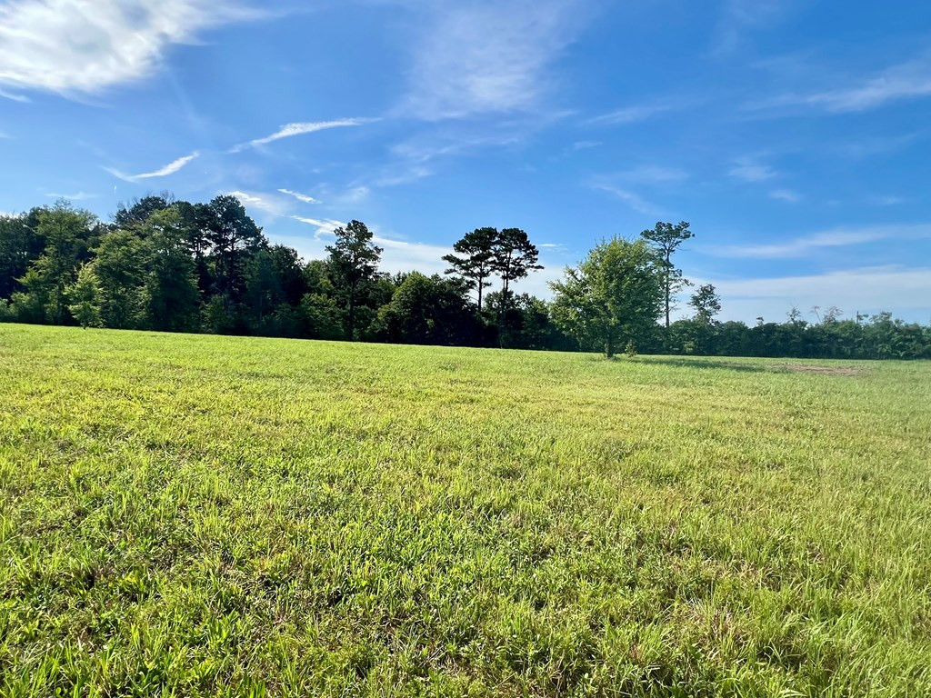 19 Beartown Road Jayess, MS 39641 - Photo 8 of 17 Photo 8