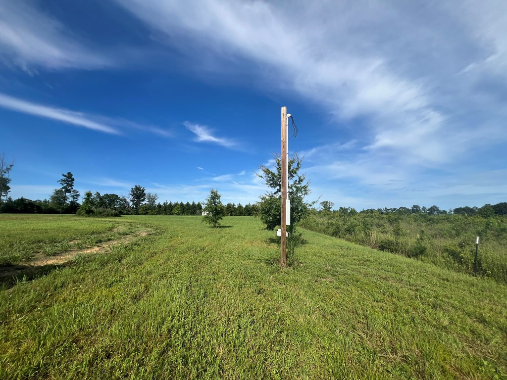 19 Beartown Road Jayess, MS 39641 - Photo 9 of 17 Photo 9
