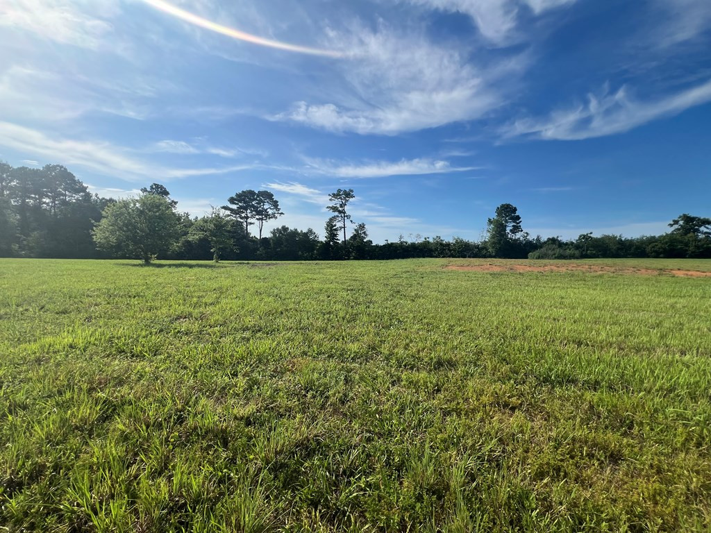 19 Beartown Road Jayess, MS 39641 - Photo 10 of 17 Photo 10