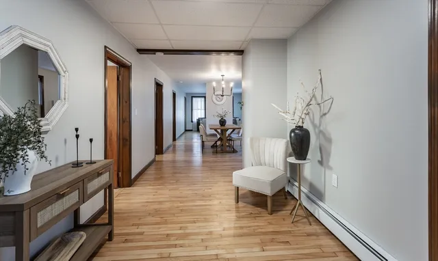 a living room with furniture and a potted plant